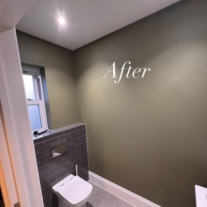 Downstairs toilet painted dark olive green
